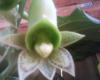 Foto de Vivero Keyky