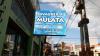 Foto de Lavandera mulata
